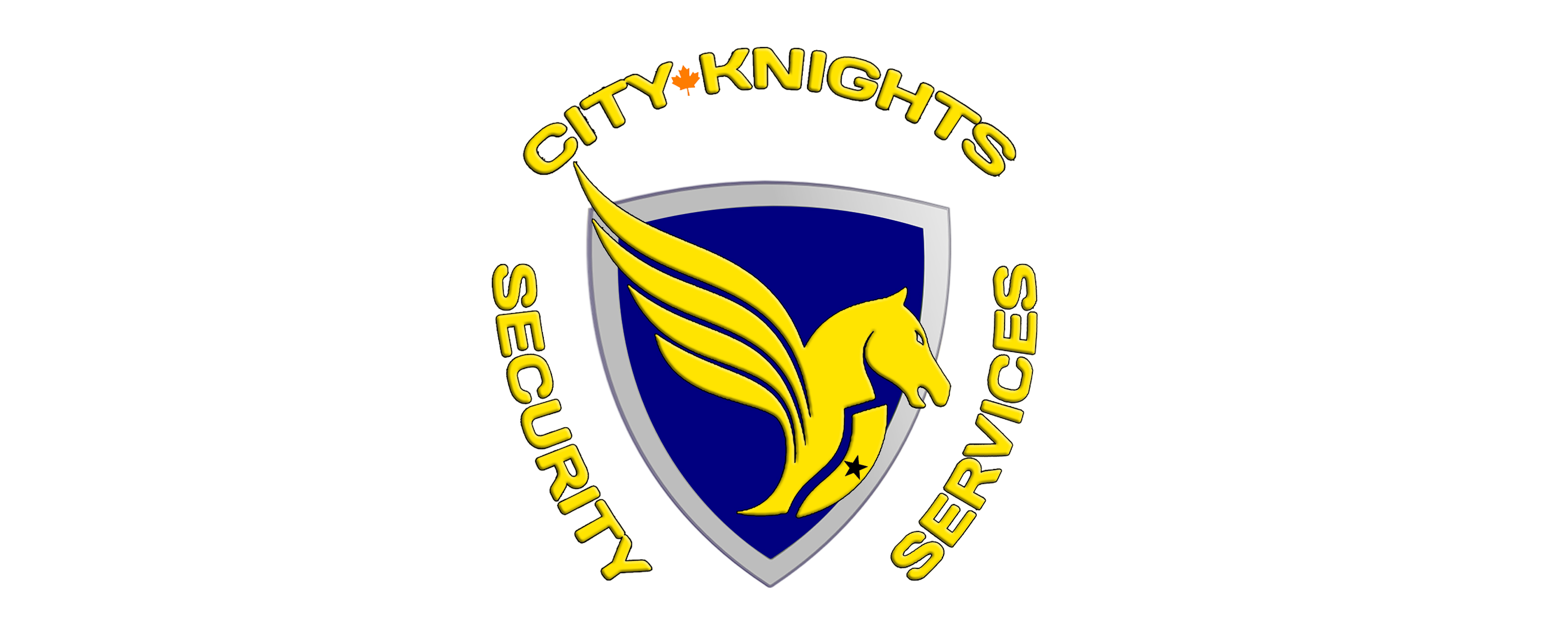 City Knight Security